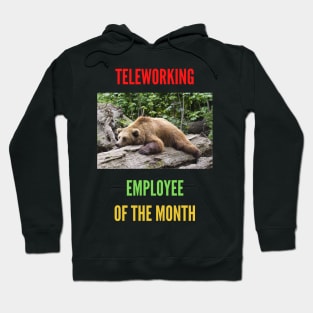 Teleworking - Employee of the Month: The Bear Hoodie